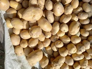 تصویر 2 از سیب زمینی ریز در بسته بندی اقتصادی